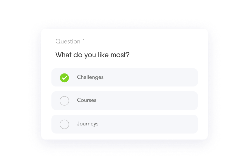 quizzes & Surveys